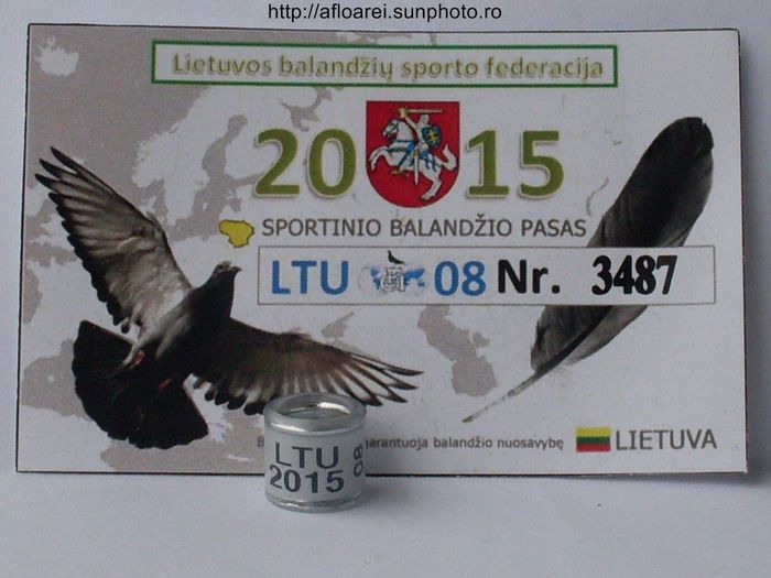ltu 2015 - LITUANIA-LTU