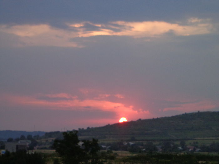 DSC09449