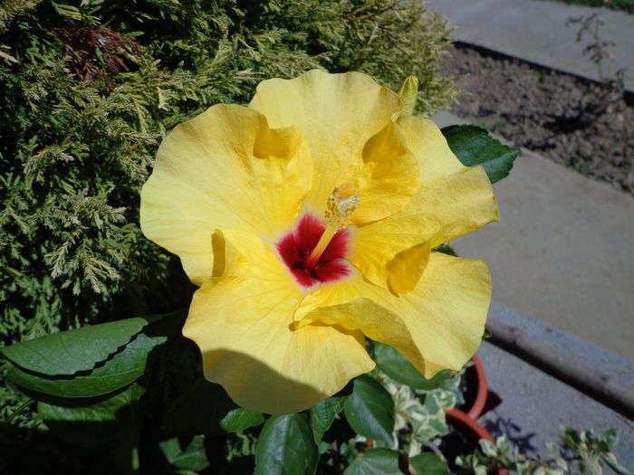 DSC09425