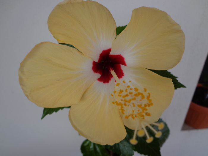 DSC09504