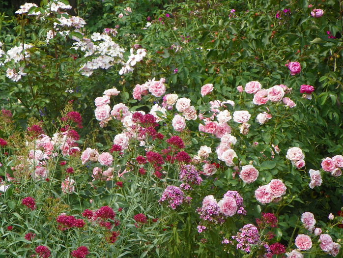 16 aug 055