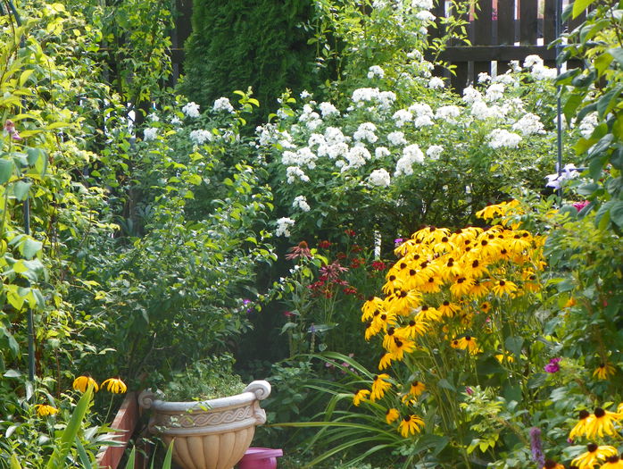 16 aug 088