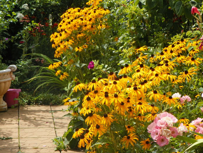 18 aug 043