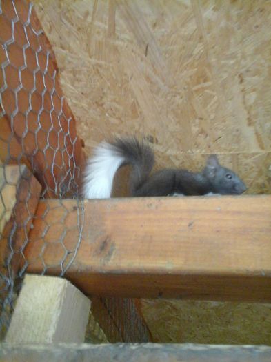 20150813_152251 - VEVERITE PUI 2015