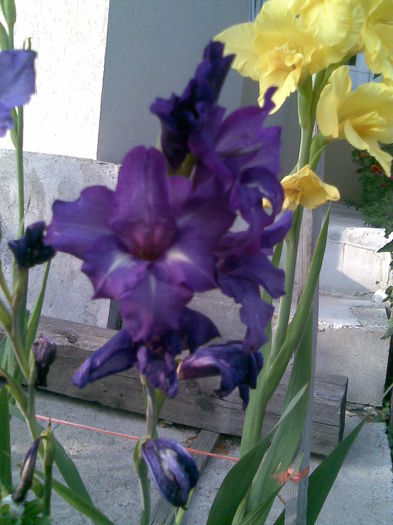 Imag032