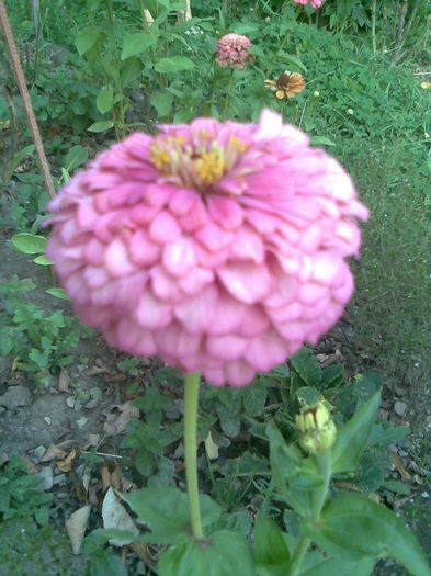 Imag035