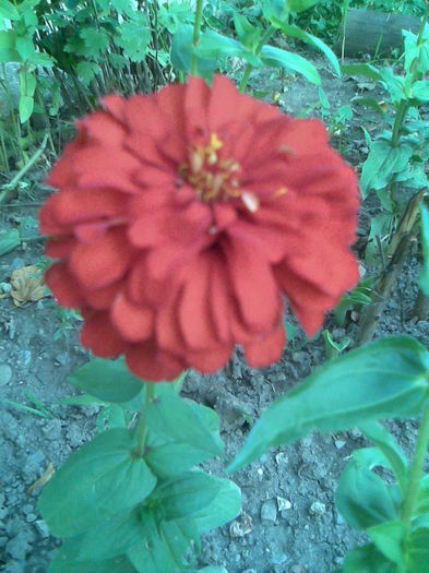 Imag037