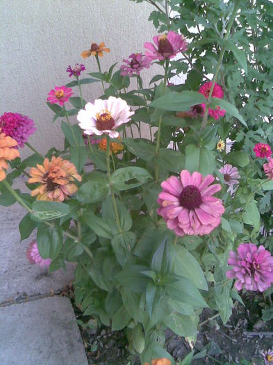 Imag038