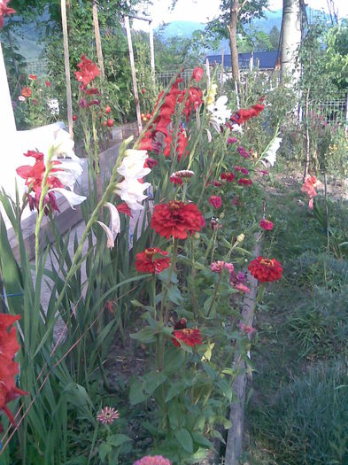 Imag039