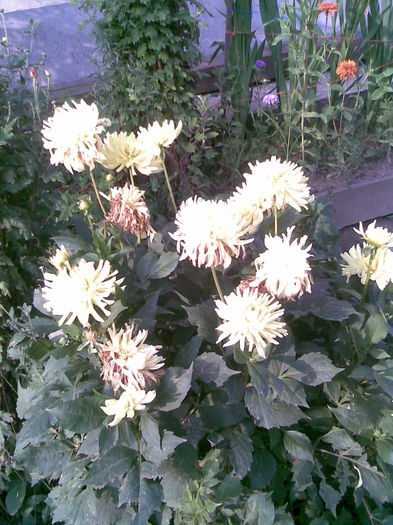 Imag040
