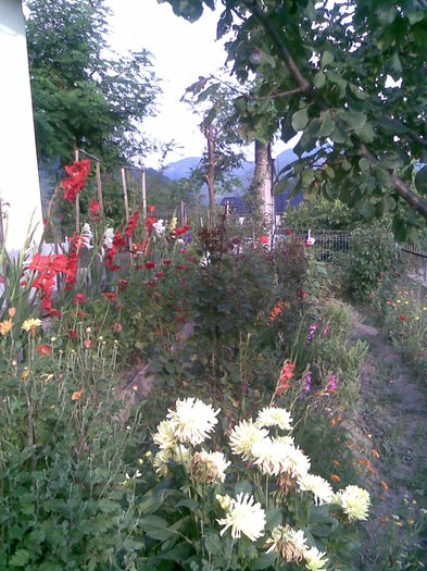 Imag041