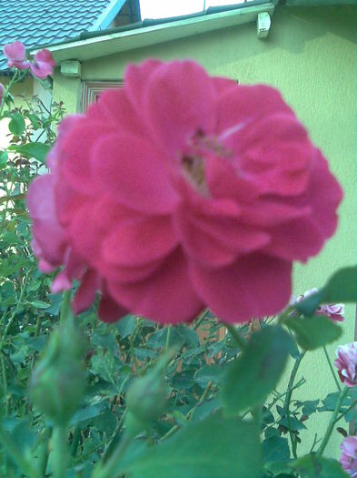 Imag042