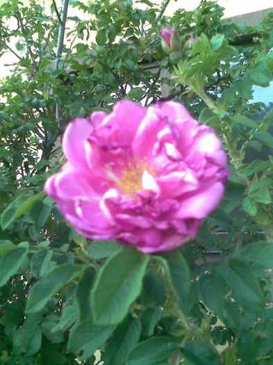 Imag044