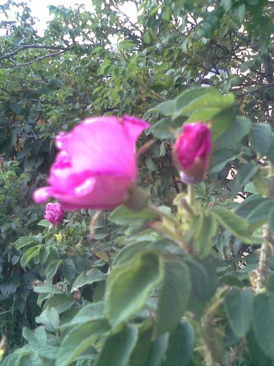 Imag045