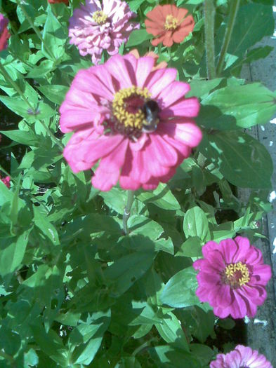 Imag001