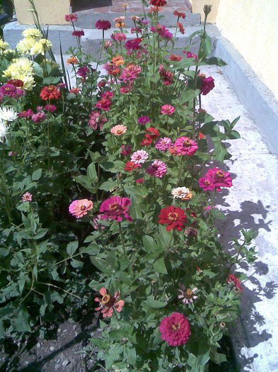 Imag002