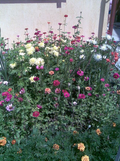 Imag003