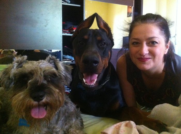 image - DOBERMANN DON DRAGON BLACKMAGIC  ANGEL