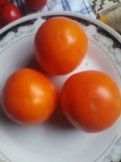 tomate-Amana Orange