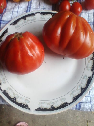 rosii para