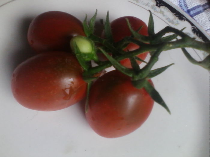 black plum
