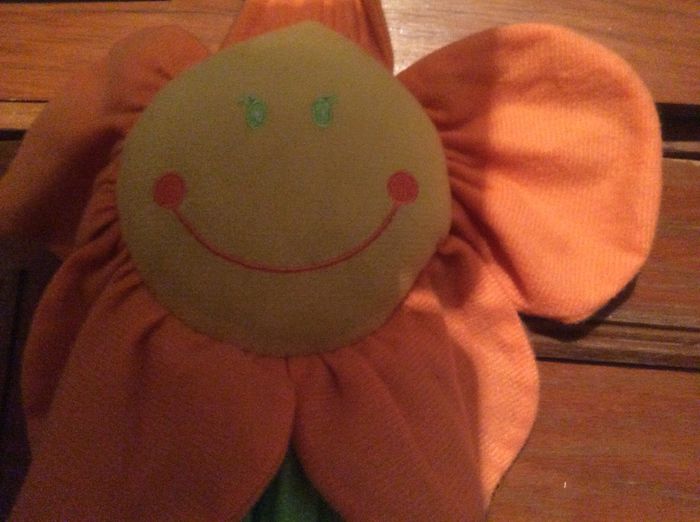 image - diverse plante de camera