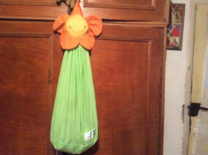 image - diverse plante de camera