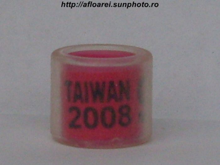 taiwan 2008 - TAIWAN