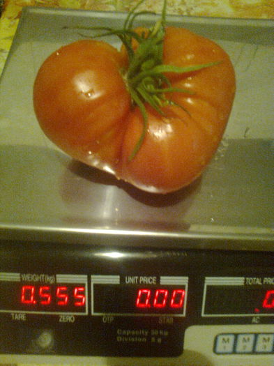 Fotografie0444[1] - Gradina mea