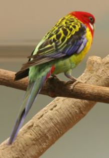image012