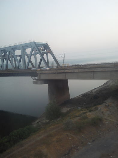 IMG_20150730_055245 - 2015