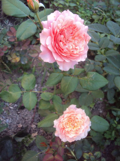 Festival des Jardins de Chaumont