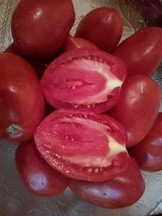 tomate de barao - TOMATE SOI NOU 2015