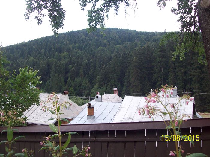 100_5205 - Concediu in judetul Neamt