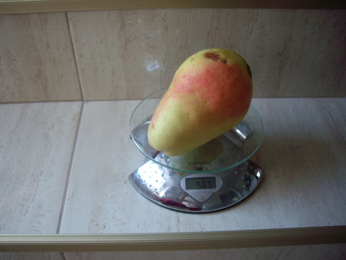 IMGP8996