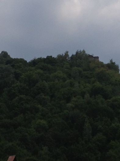 Cetatea de Colt in Hunedoara