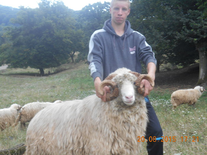 Picture 025 - Berbeci 2o14-2015