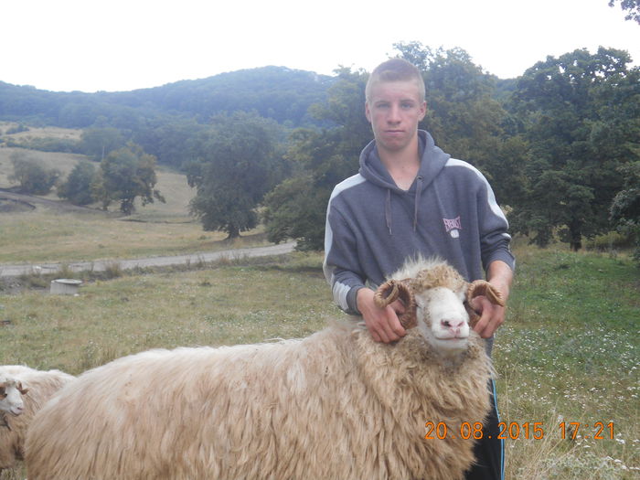 Picture 027 - Berbeci 2o14-2015