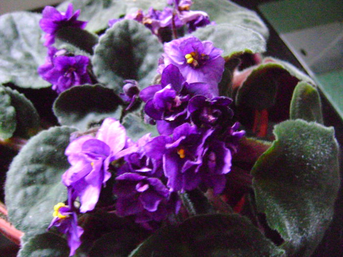 DSC01590