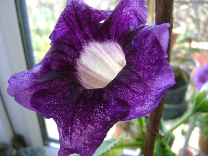 DSC01658