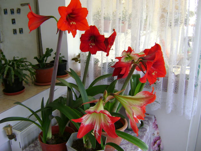 DSC01659