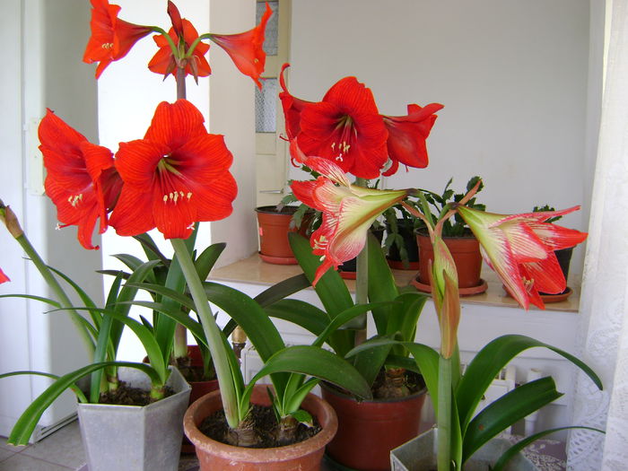 DSC01660