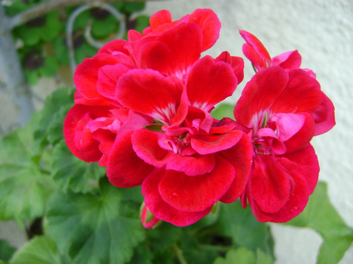 DSC01708