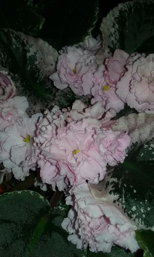 20150821_202330