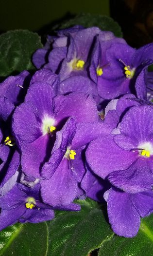 20150821_202647