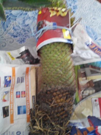 mult dorit lam gasit