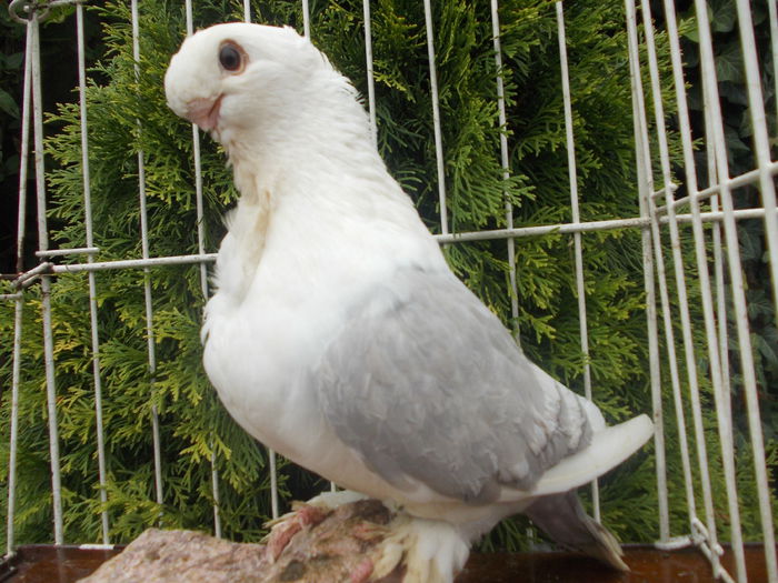 DSCN0835