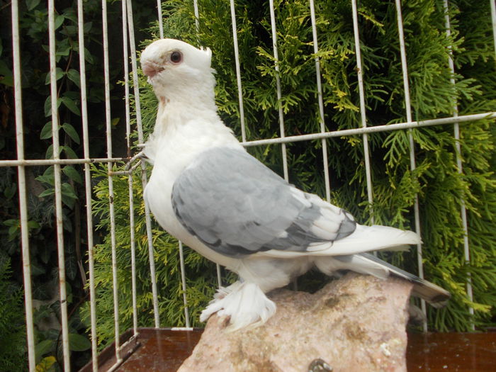 DSCN0841