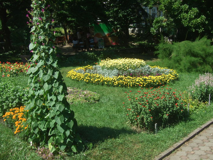 23.08.2015 023 - Gradina Botanica Cluj Napoca