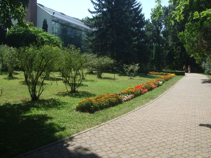 23.08.2015 035 - Gradina Botanica Cluj Napoca